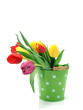 Tulips in the bucket