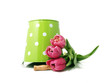 Tulips with bucket