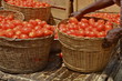 Tomatenernte