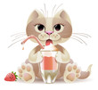 Cat Cocktail