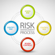 Vector Risk management process diagram