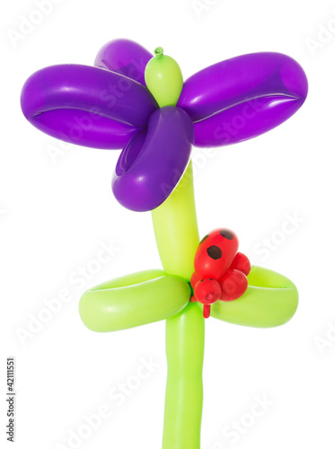 Photo: Blume aus Luftballons Blume aus Luftballons