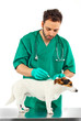 Veterinario - Antiparassitario per cani