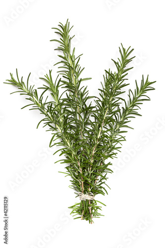 Photo: Bunch of Rosemary over White Bunch of Rosemary over White