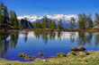 Specchio d'acqua sule Alpi