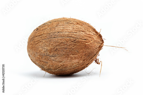 Photo: coconut isolated on white coconut isolated on white