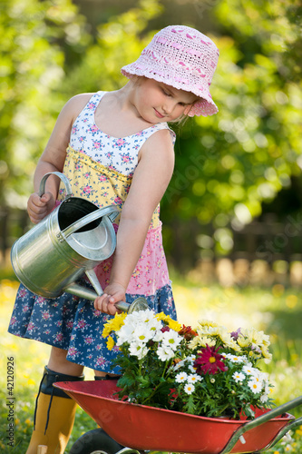 Photo: Little girl pouring flowers in the garden Little girl pouring flowers in the garden