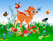 smallest deer in the spring