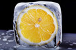 Lemon in ice block