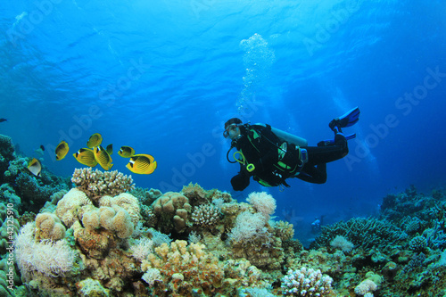 Photo: Scuba Diver and Butterflyfish on coral reef Scuba Diver and Butterflyfish on coral reef