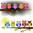 Family of owls sat on a tree branch at night and day