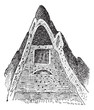 Termite nest, vintage engraving.