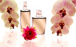 Kosmetik und Wellness