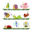 Bugs