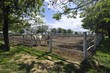 Horse farm in Croatian lowland region called Slavonia