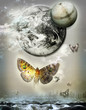 Flight of butterflies  in the night.