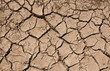 Drought