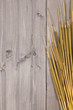 Cattail background