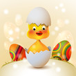 Illustration: Cute Easter chicken in egg shell Cute Easter chicken in egg shell