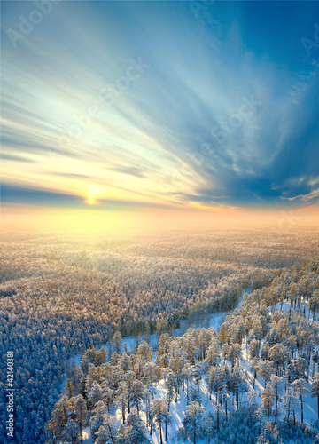 Photo: Top view on winter forest on the morning Top view on winter forest on the morning