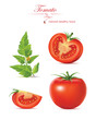 Vektor: Vector illustration. Tomatoes. Vector illustration. Tomatoes.