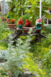 Garden dwarves