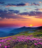 mountain landscape - Fine Art prints