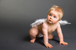 Photo: Infant baby with angel wings on neutral background Infant baby with angel wings on neutral background