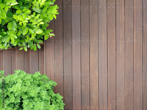 Foto: Bangkirai Terrasse Bangkirai Terrasse
