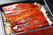 Broiled Eels On Rice
