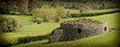 Near the Tumulus of Newgrange