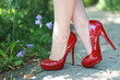Foto: elegant in rot elegant in rot