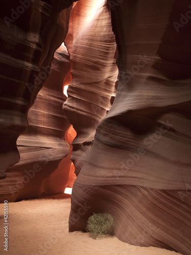 Photo: scenic image of antelope scenic image of antelope