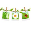 Vettoriale: Summer Photos With Clothespins Summer Photos With Clothespins