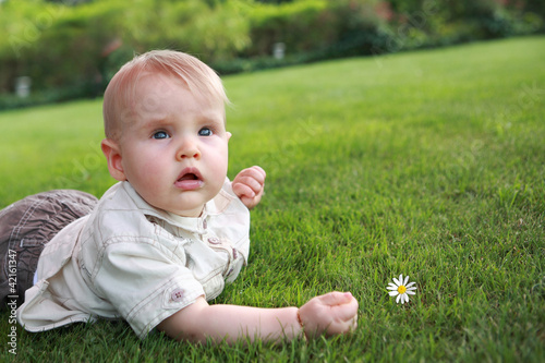 Photo: Baby auf dem Gras mit der Kamille Baby auf dem Gras mit der Kamille