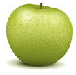 Realistic apple