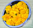 wyellow garland
