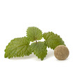 Herbal pills