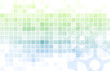Integrated Management System