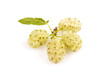 white mulberry on a white background close-up..