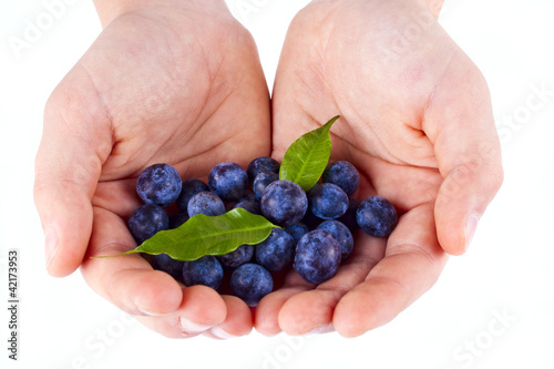 Photo: a handful of blueberries a handful of blueberries