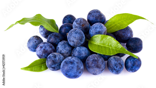 Photo: a handful of blueberries a handful of blueberries