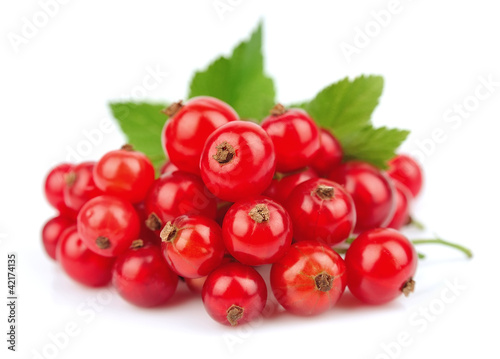 Foto: Sweet red currants Sweet red currants