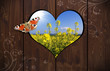 Photo: Herzloch in Holzwand mit Schmetterling Herzloch in Holzwand mit Schmetterling