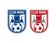 Blue And Red Soccer Shield
