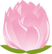 illustration of sigle pink lotus(waterlily)