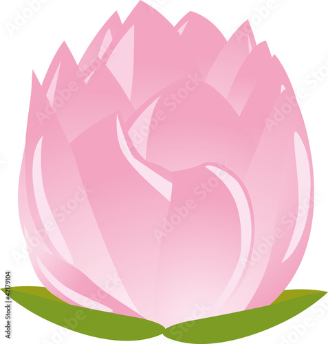 Illustration: illustration of sigle pink lotus(waterlily) illustration of sigle pink lotus(waterlily)
