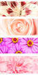 Set of floral banners