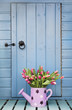 Photo: Spring tulips outside garden shed Spring tulips outside garden shed