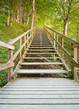 ladder